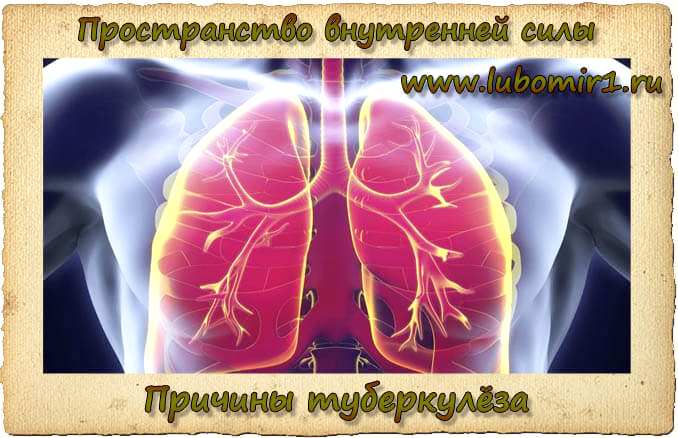 Причины туберкулёза